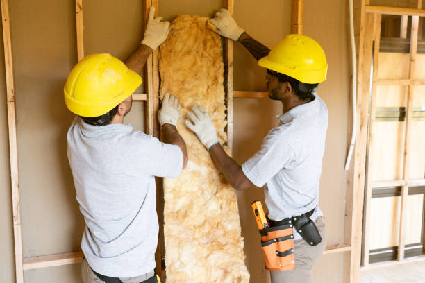 Best Cellulose Insulation  in St James, NY